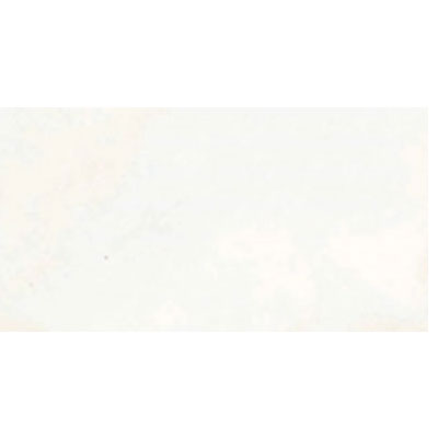 Chesapeake Bescato 12" x 24" Floor Gold