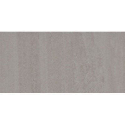 Chesapeake Abbey Road Floor 12" x 24" Floor Gray