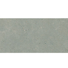 Daltile Stare Mystone Moon 12" X 24" Matte Grey