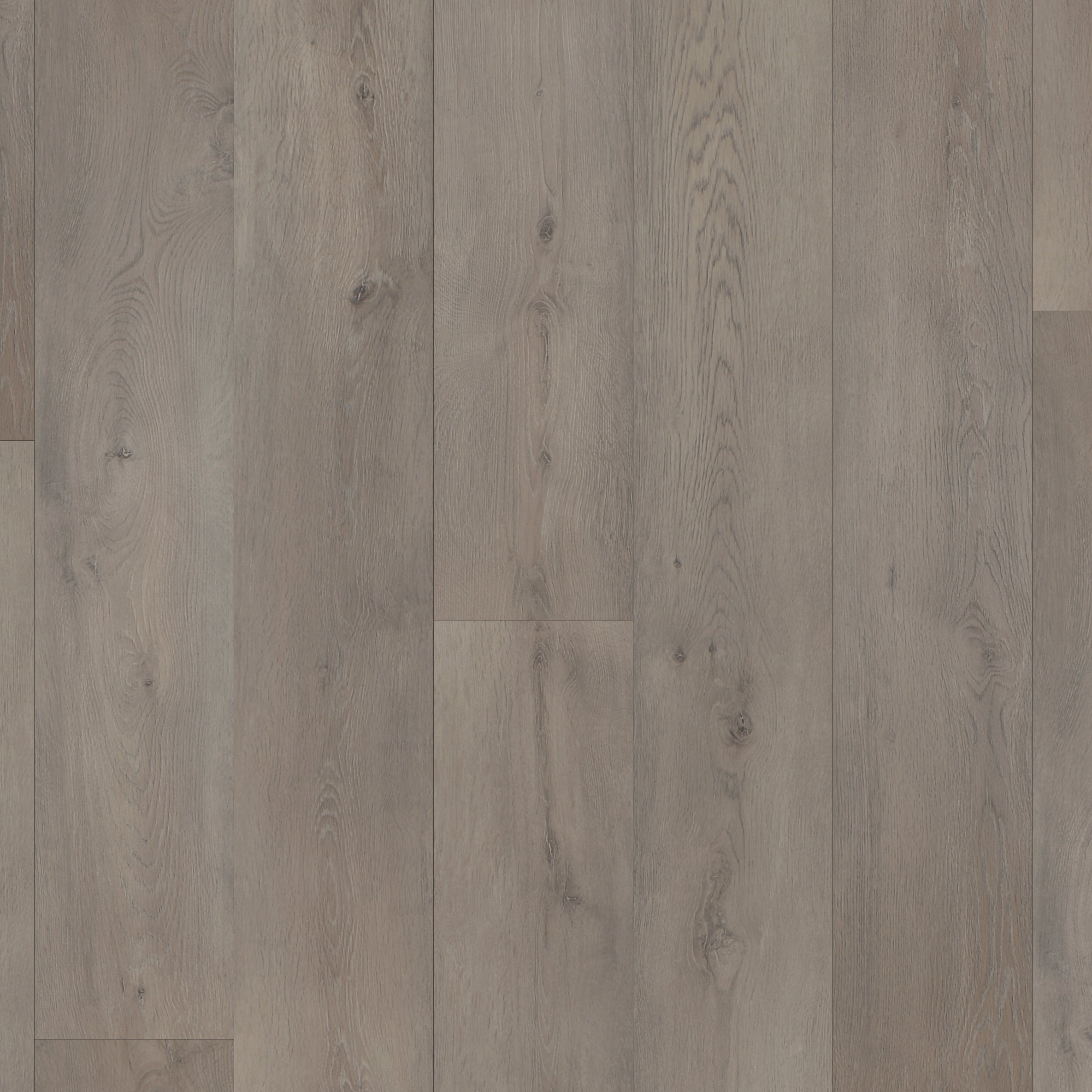 Chesapeake Liberty Plus 8.03" X 47.6" Low Gloss Painted Micro-Beveled Edges Bering