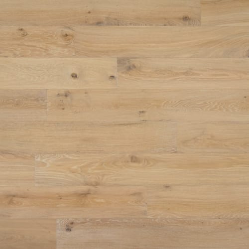 Chesapeake Genesis 6.5" X RL Dark Hallow
