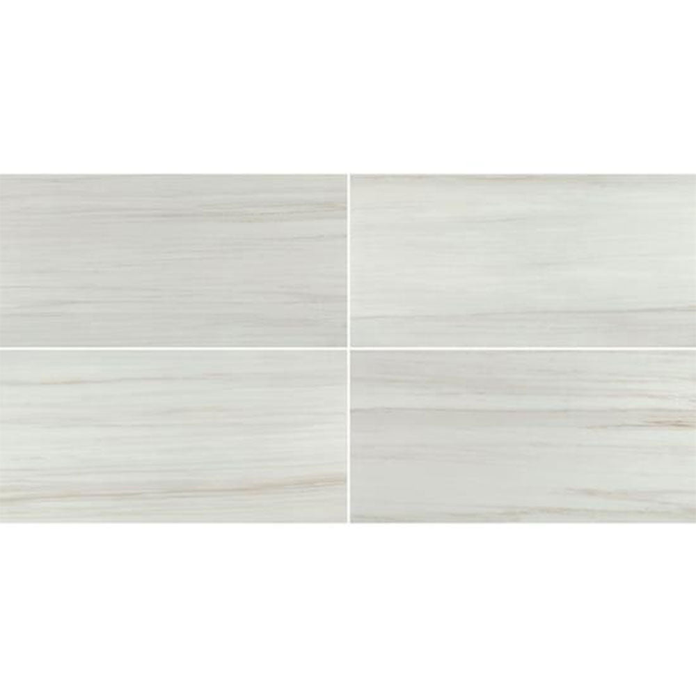 Chesapeake Alpine 12" X 24" Matte Lasa Beige
