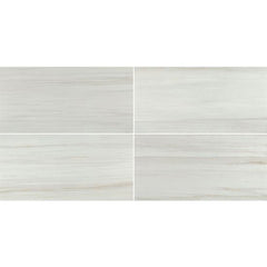 Chesapeake Alpine 12" X 24" Matte Lasa Beige