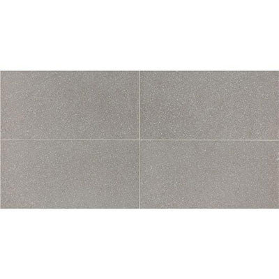 American Olean Neospeck 12" X 24" Light Gray