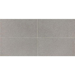 American Olean Neospeck 12" X 24" Light Gray