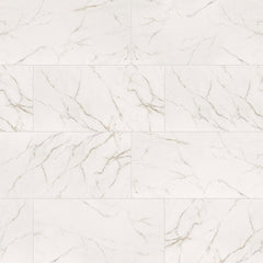 MS International Kaya 24" x 48" Polished Calacatta Lucca