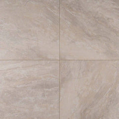 MS International Onyx 24" x 24" Matte Grigio