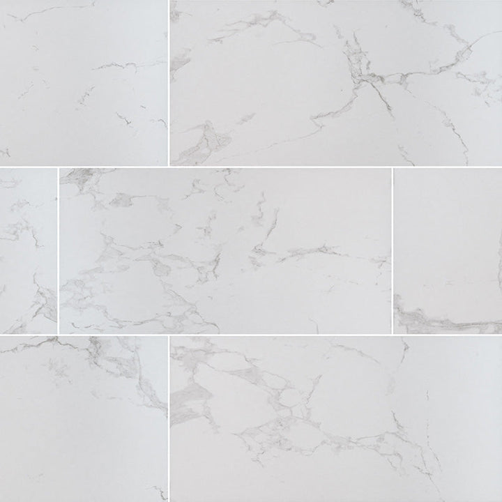 MS International Praia 12" x 24" Matte Arterra Pavers Carrara