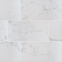 MS International Praia 12" x 24" Matte Arterra Pavers Carrara