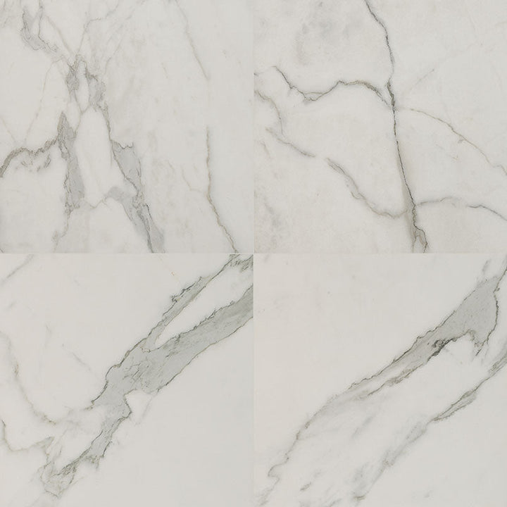 MS International Regallo 24" x 24" Polished Calacatta Isla