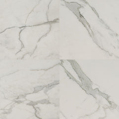 MS International Regallo 24" x 24" Matte Calacatta Isla