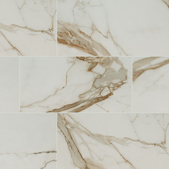 MS International Regallo 24" x 48" Matte Calacatta Marbella