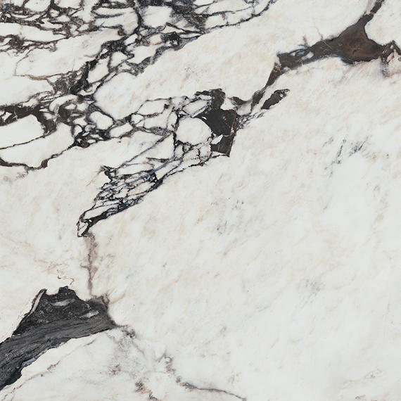 Marazzi Editorial 24" x 24" Polished Bardot Noir