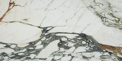 Marazzi Editorial 24" x 48" Polished Vireo Balmain