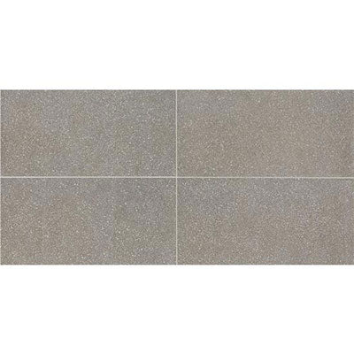 American Olean Neospeck 12" X 24" Medium Gray