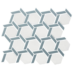 Chesapeake Denali 10.2" x 8.9" Hex Wheel Neptune