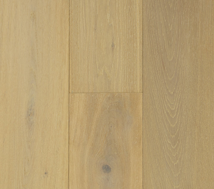 Chesapeake Points East 7.5" X RL Micro Bevel Matte Orchard Bay