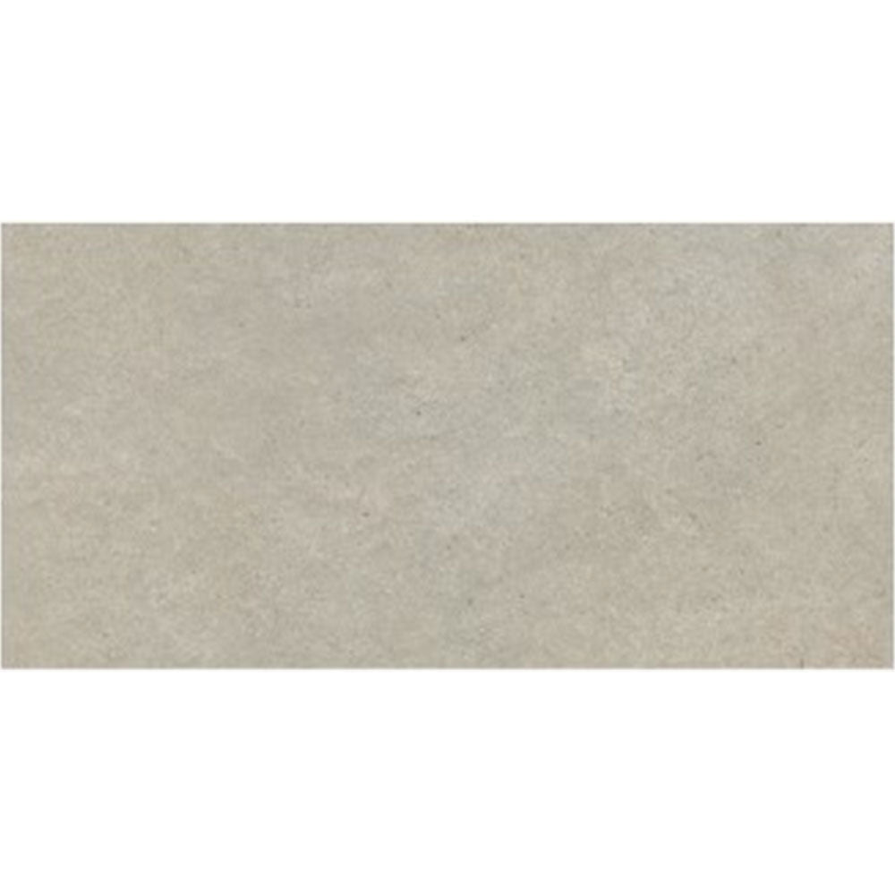 Daltile Stare Terratech 12" X 24" Matte Polvere