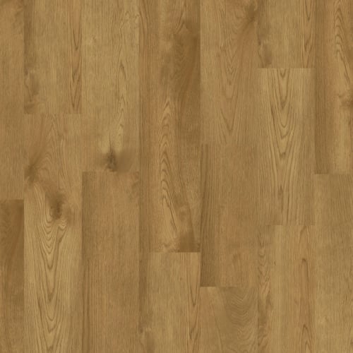 Chesapeake Regatta Plus XL SPC 9.5" X 60" Micro Bevel CAPTAIN