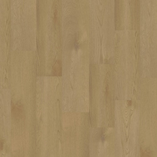 Chesapeake Regatta Plus XL SPC 9.5" X 60" Micro Bevel SAIL