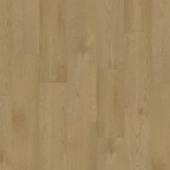 Chesapeake Regatta Plus XL SPC 9.5" X 60" Micro Bevel SAIL