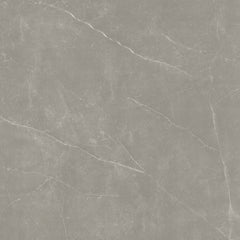 Emser Sterlina II 24"x24" Polished Dove