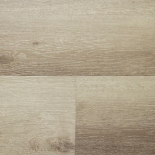 Chesapeake Firmfit Gold 6" X 48" WHISP
