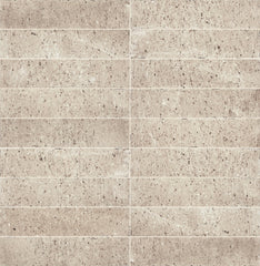 Marazzi Curation 2" x 9" Matte Stucco