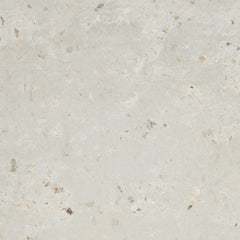 Emser Anvaya  12" x 12" Matte Aster