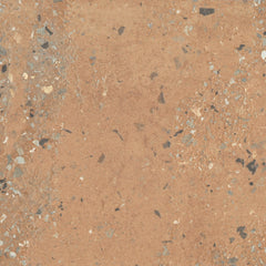 Emser Anvaya  12" x 12" Matte Terra