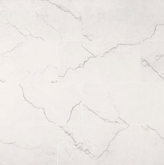 MS International Brighton 12" x 24" Polished Grey