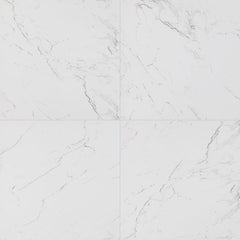 MS International Pietra 24" x 24" Polished Carrara