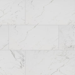 MS International Pietra 12" x 24" Polished Carrara
