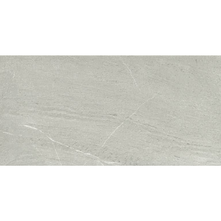 Emser Caru 12" x 24" Matte Rengo