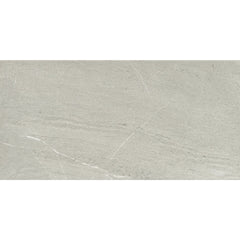 Emser Caru 12" x 24" Matte Rengo
