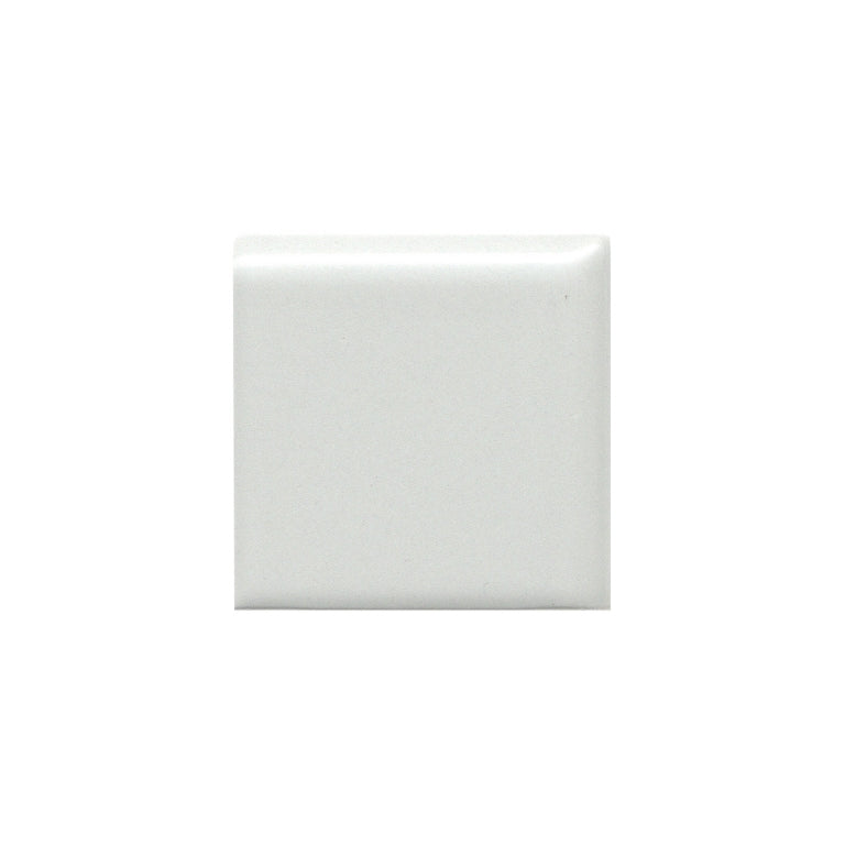 Emser Catch 2" x 2" Bullnose Corner Matte Gray