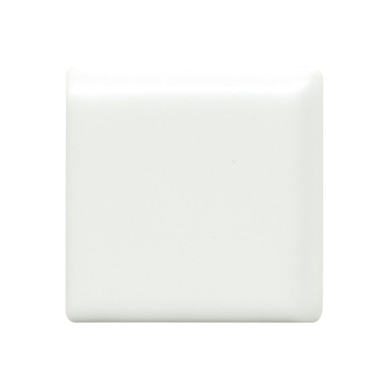 Emser Catch 2" x 2" Bullnose Corner Matte Ice