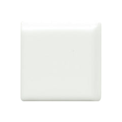 Emser Catch 2" x 2" Bullnose Corner Matte Ice