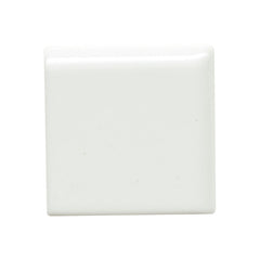 Emser Catch 2" x 2" Bullnose Corner Glossy Ice