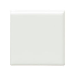 Emser Catch 3" x 3" Bullnose Corner Glossy Ice
