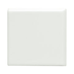 Emser Catch 4" x 4" Bullnose Corner Matte Ice