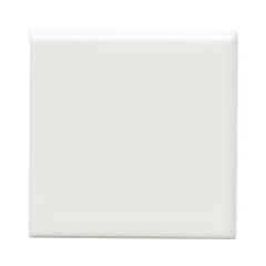 Emser Catch 4" x 4" Bullnose Corner Glossy Ice