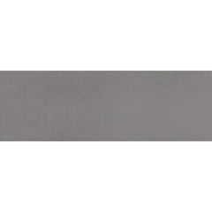 Emser Citizen 3" x 12" Bullnose Matte Subject