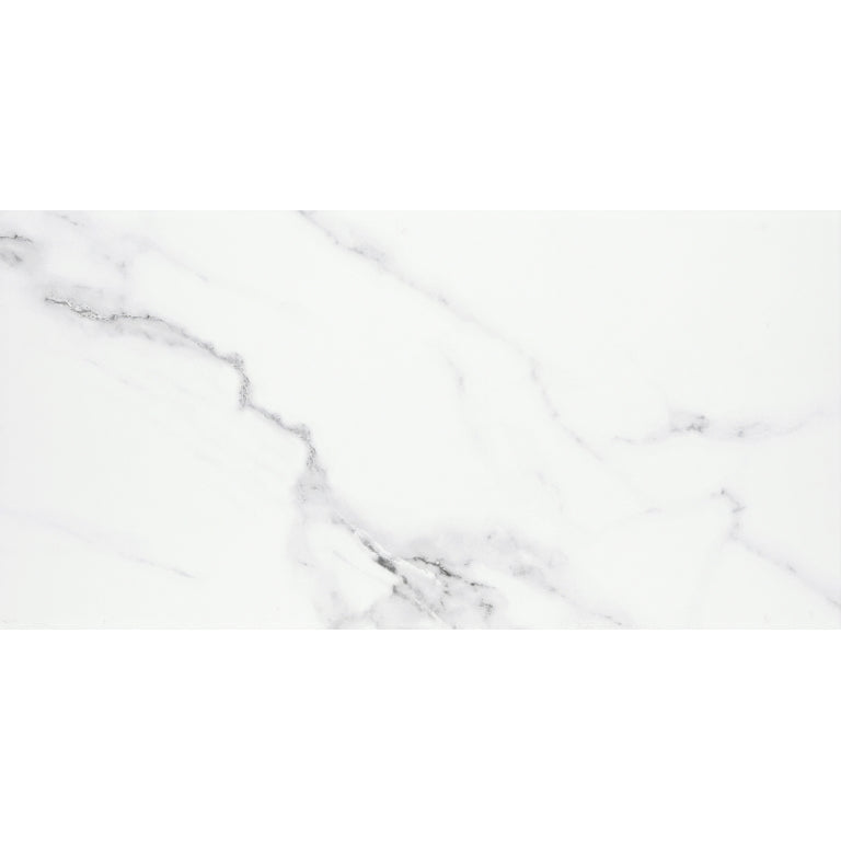 Emser Contessa 24" x 47" Matte Dama