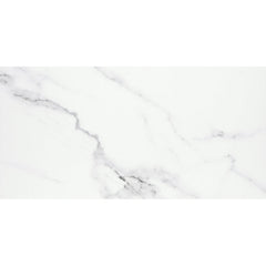 Emser Contessa 24" x 47" Matte Dama