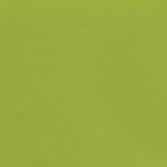 Daltile ColorMatch 2'' x 2" Straight Mosaic 12'' x 24'' Matte Matte Kiwi