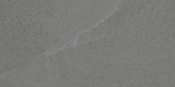 Daltile Calgary 12" x 24" Polished Armor