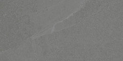 Daltile Calgary 12" x 24" Polished Armor