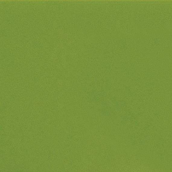 Daltile ColorMatch 2'' x 4" Brick Mosaic 12'' x 12'' Matte Matte Fern