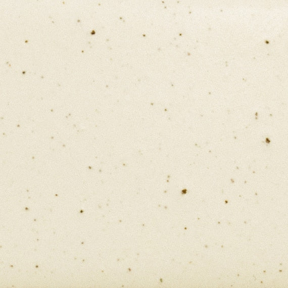 Daltile Natural Hues  4" x 4" Matte Freckles